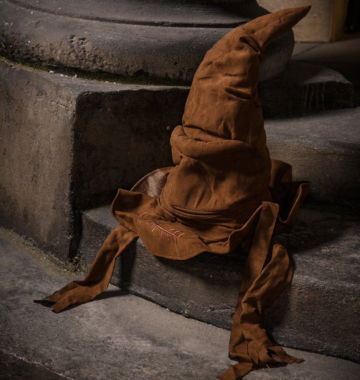 Warner Bros Animated Sorting Hat