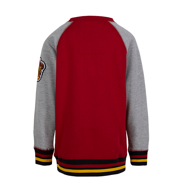Warner Bros Kids Gryffindor Sweatshirt