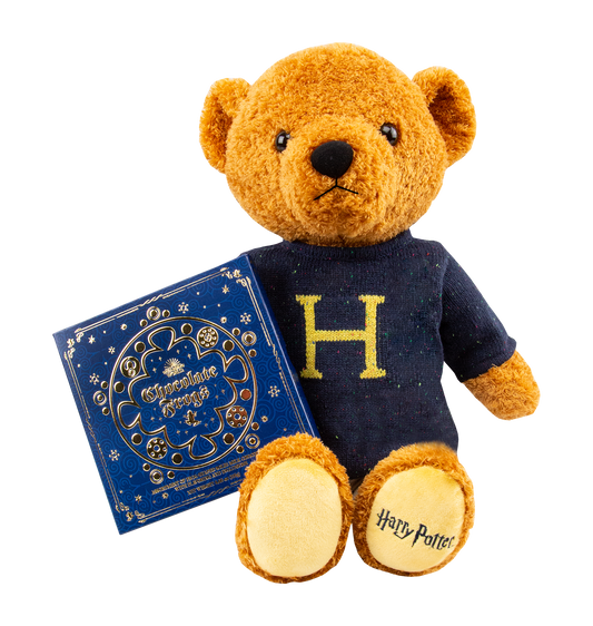 Warner Bros Harry Potter Bear And Chocolate Frog Box