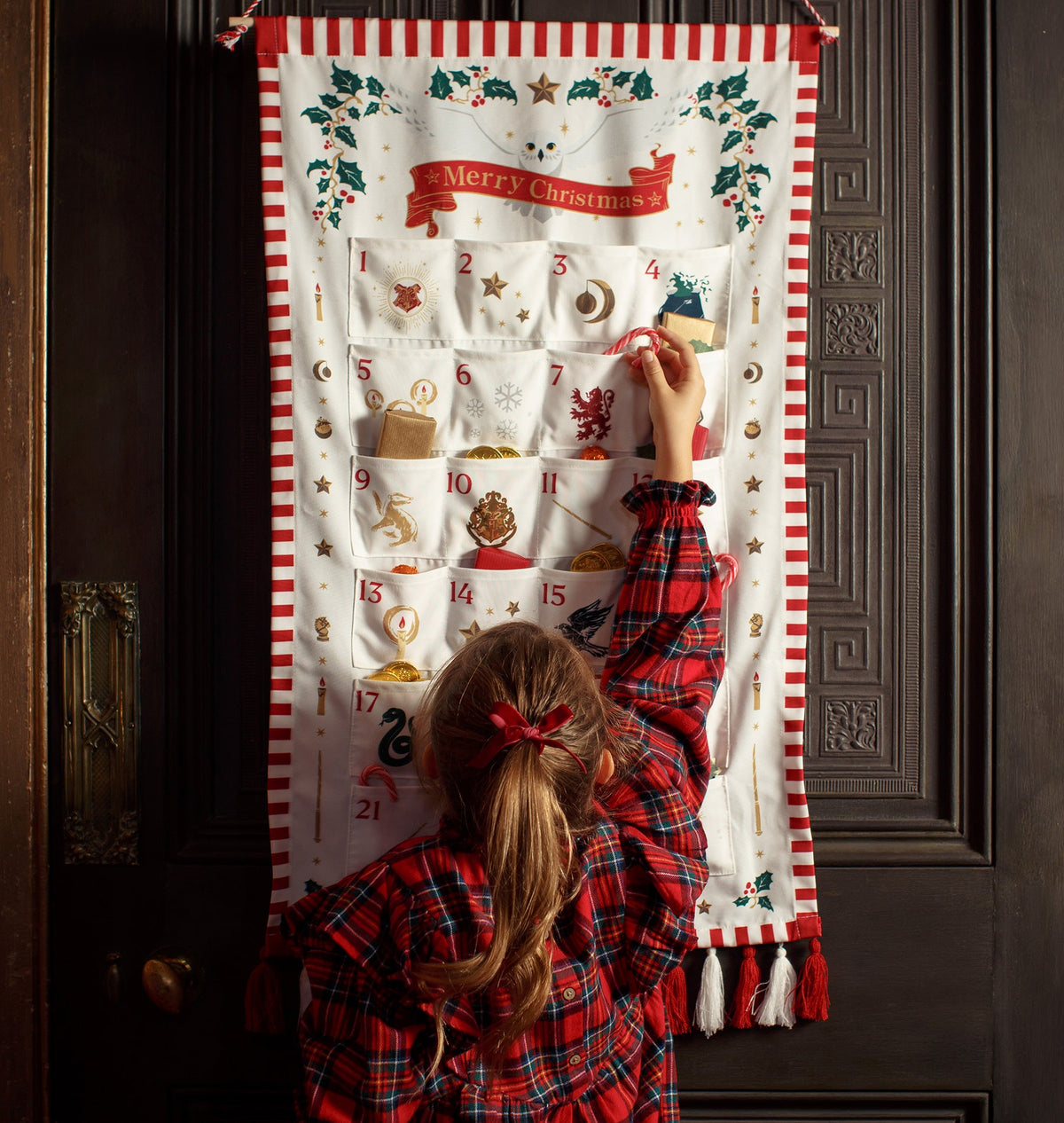 Warner Bros Christmas Fabric Advent Calendar